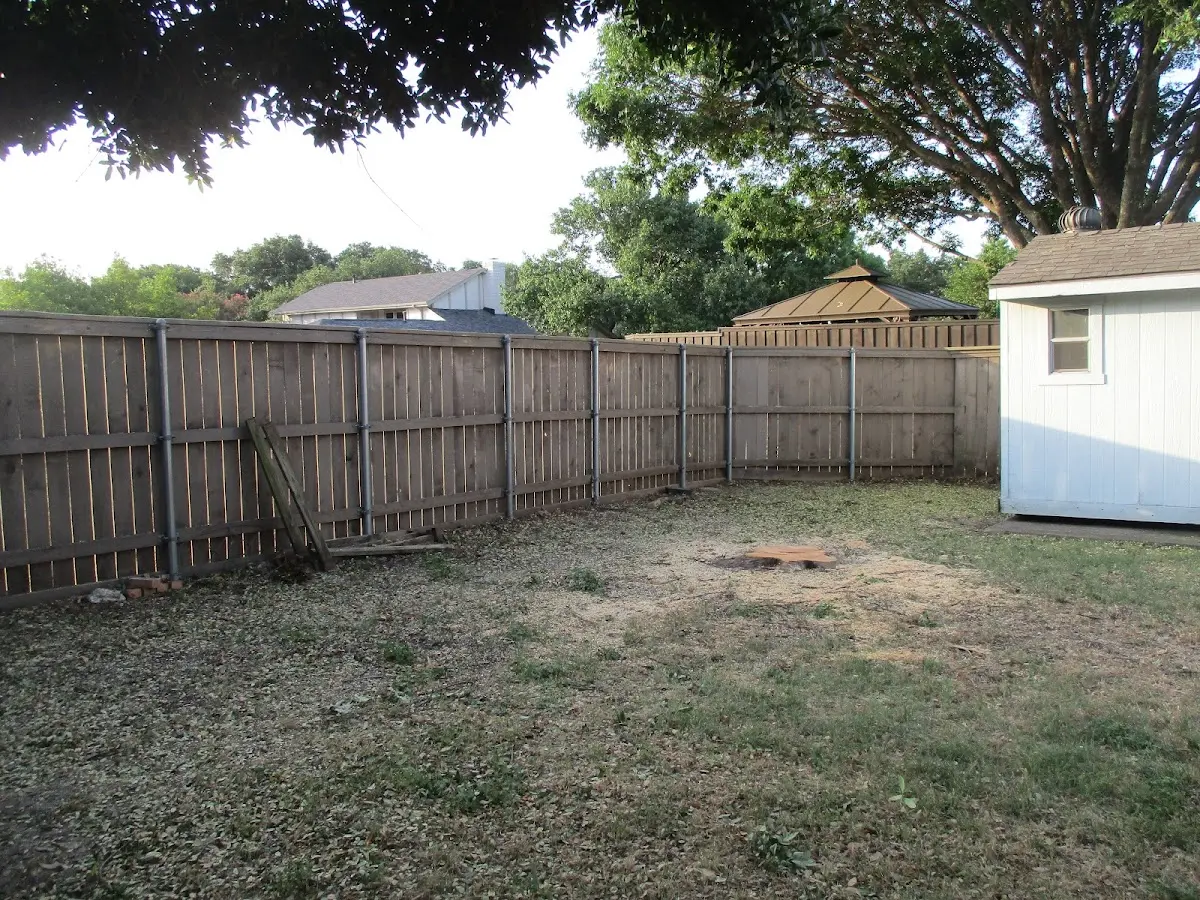 Cleared yard after professional tree removal in Cody